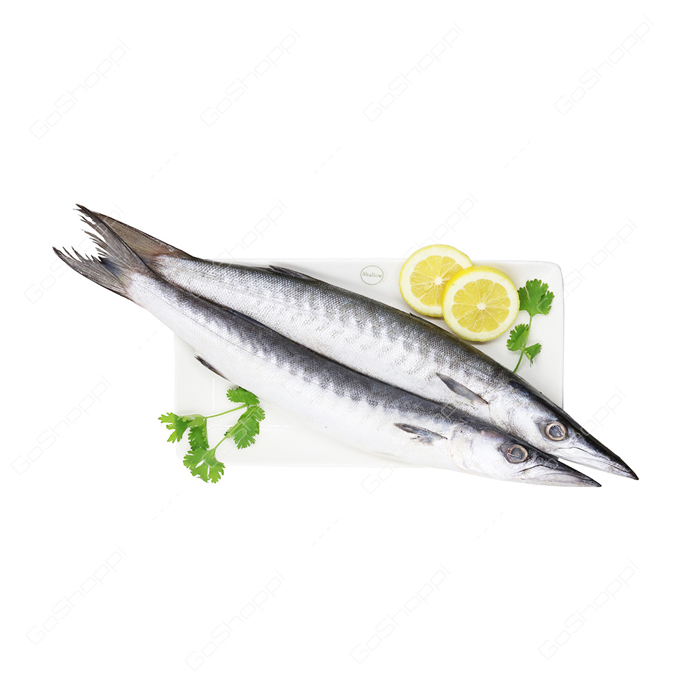 Barracuda Fish 1 kg