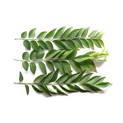 Curry Leaves Bunch 1 pcs