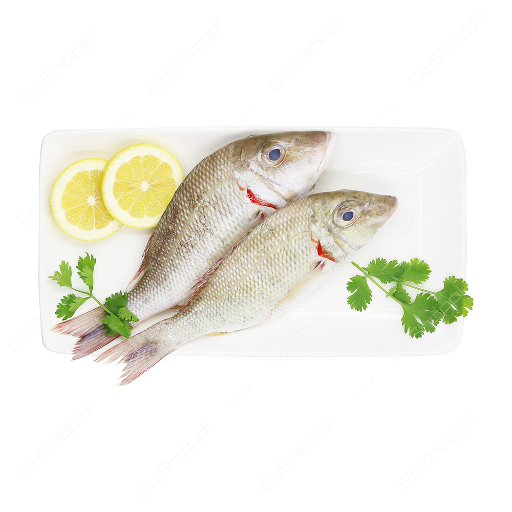 Sheri Fish 1 kg